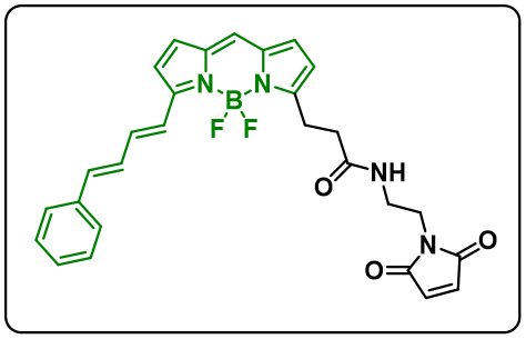 BDP 581/591 maleimide