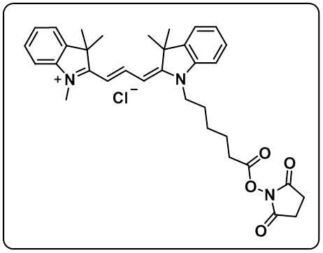 Cyanine3 NHS ester