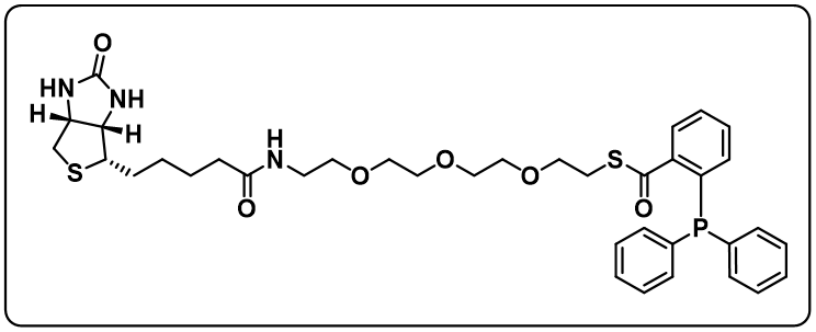 Biotin-PEG3-SCO-PPh3