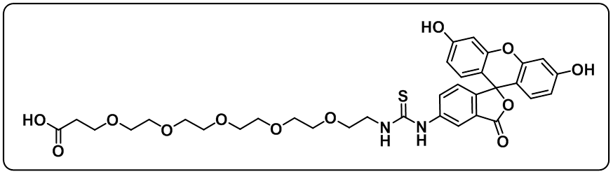 5-FITC-PEG5-COOH