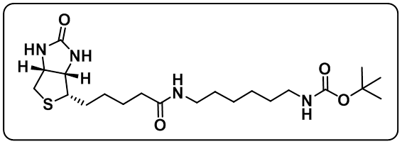 N-Boc-6-Biotinamidohexylamine