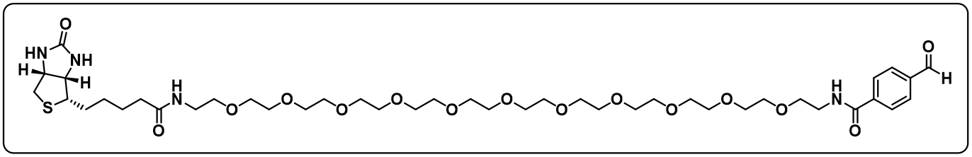 Biotin-PEG11-aldehyde