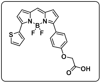 BODIPY TR carboxylic acid