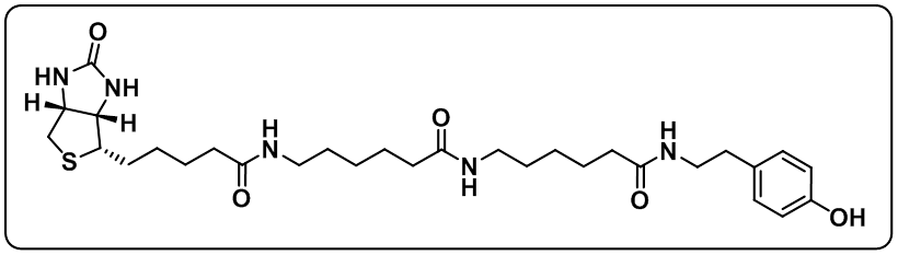 Biotin-XX Tyramide Reagent
