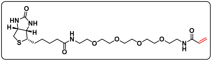 Biotin-PEG4-Acrylamide