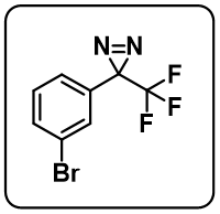 3-CF3-diazirine-bromo phenyl