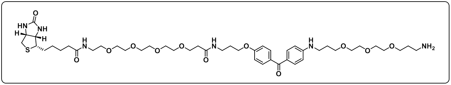 UV-Tracer Biotin amine