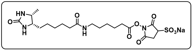 Sulfo-NHS-LC-Desthiobiotin