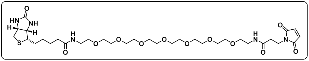 Biotin-PEG7-amido-Mal