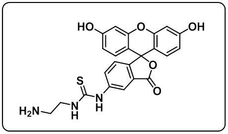 5-FITC-C2-amine