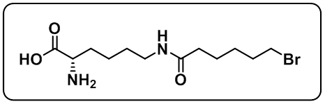 L-Lysine,N6-(6-bromo-1-oxohexyl)-