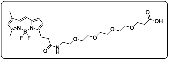 BODIPY FL-PEG4-COOH