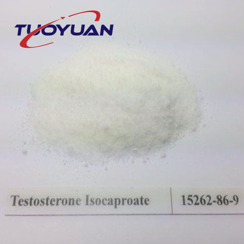 Testosterone Isocaproate