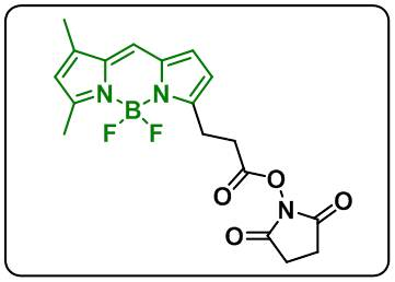 BDP FL NHS ester