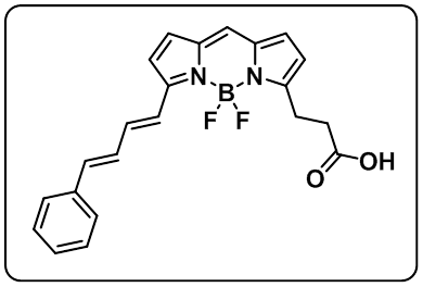 BODIPY 581/591 carboxylic acid