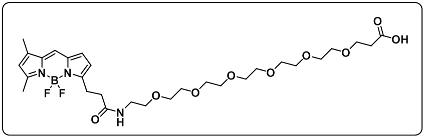 BODIPY FL-PEG6-COOH