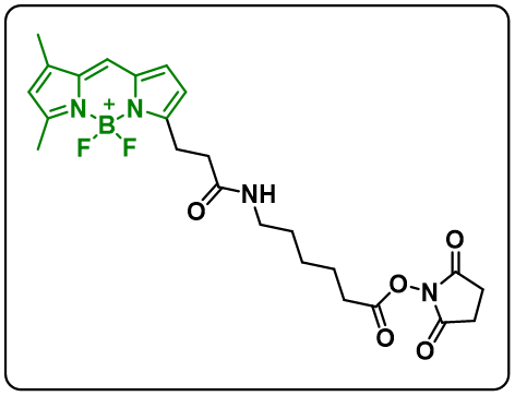 BODIPY FL-X,SE