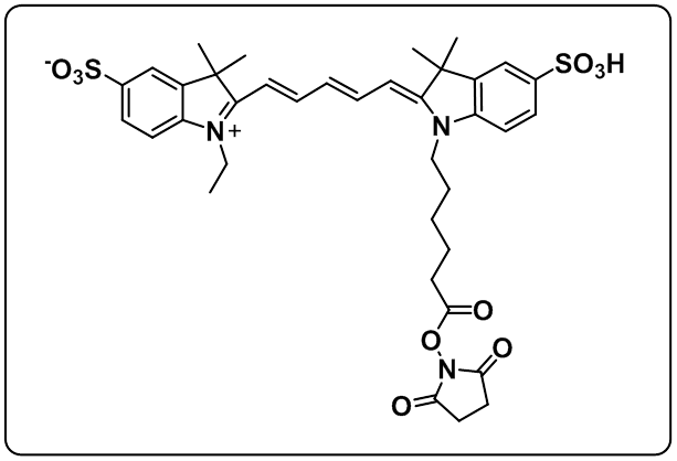 Sulfo-Cyanine5 NHS ester