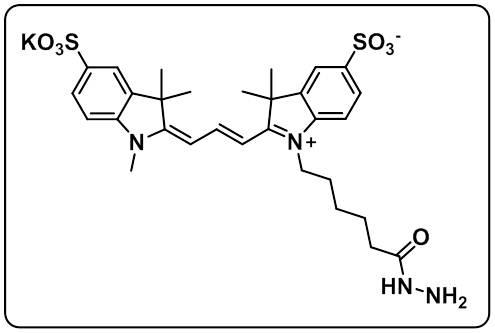 diSulfo-Cy3 hydrazide