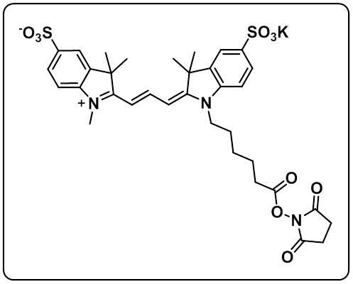 diSulfo-Cy3 NHS ester