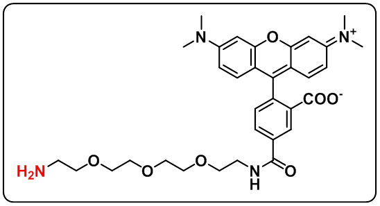 5-TAMRA-PEG3-amine