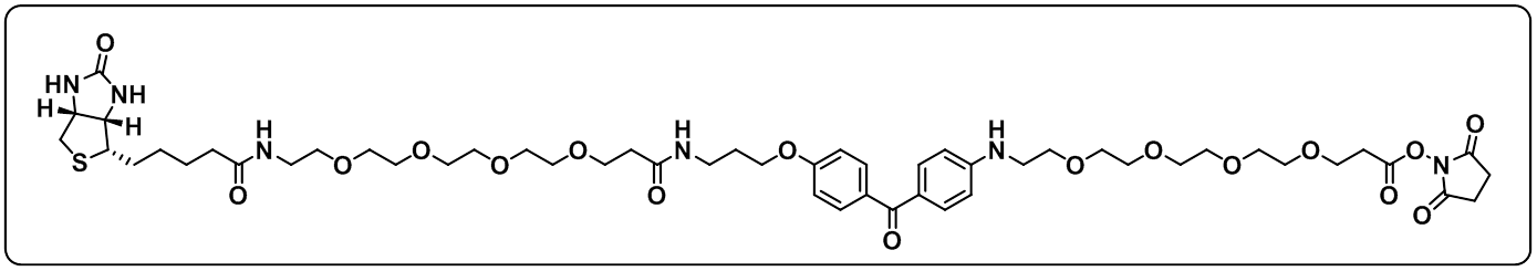 UV-Tracer Biotin NHS ester
