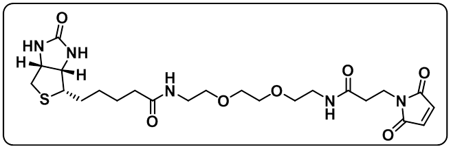 Biotin-PEG2-amido-Mal
