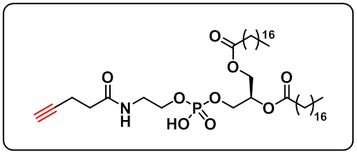 DSPE-Alkyne