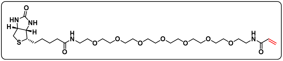 Biotin-PEG7-Acrylamide