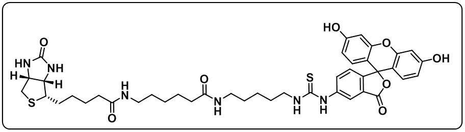 5-FITC Biotin