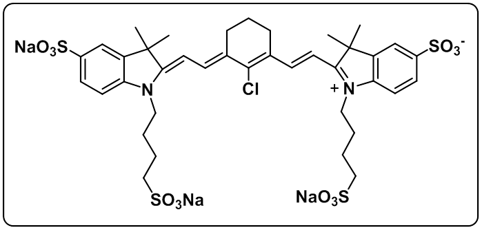 S 0456-Bio-X