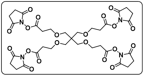 tetrakis-(N-Succinimidylcarboxypropyl)pentaerythritol