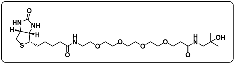 N-(2-hydroxy-2-methylpropyl)-1-(5-((3aS,4S,6aR)-2-oxohexahydro-1H-thieno[3,4-d]imidazol-4-yl)pentanamido)-3,6,9,12-tetraoxapentadecan-15-amide