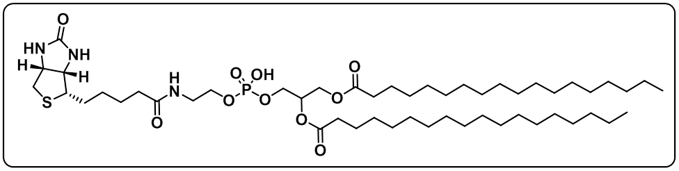 DSPE-Biotin