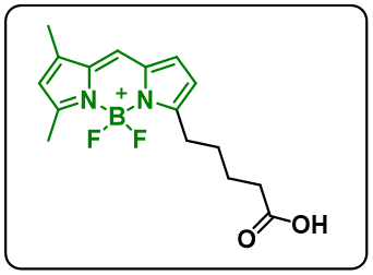 BODIPY FL C5