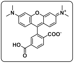 6-Carboxytetramethylrhodamine