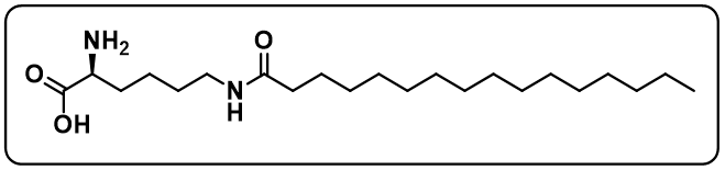 N6-(1-oxohexadecyl)-L-lysine