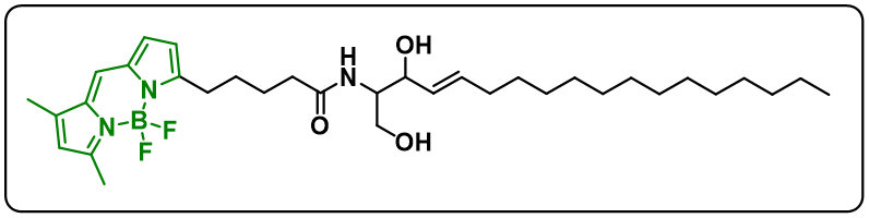 BODIPY FL C5-Ceramide