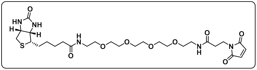 Biotin-PEG4-amido-Mal