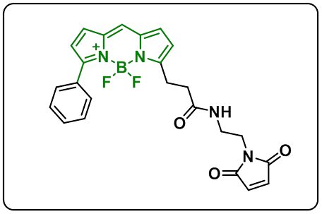 BDP R6G maleimide