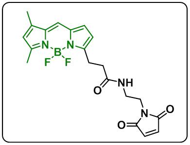 BDP FL maleimide