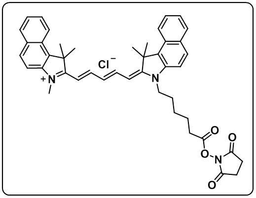 Cyanine5.5 NHS ester