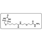 Biotin-PEG1-hydrazide pictures