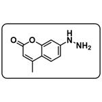 Coumarin hydrazine