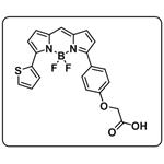 BODIPY TR carboxylic acid pictures