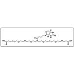 N-Biotin-N-bis(PEG4-acid)