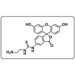 5-FITC-C2-amine pictures