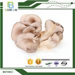 Pleurotus ostreatus extract pictures