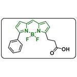 BDP R6G carboxylic acid pictures