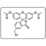 Cellhunt Green CMFDA [5-Chloromethylfluorescein Diacetate] pictures